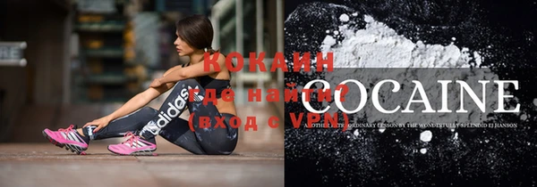 гашик Вязники