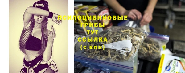 марки lsd Вяземский
