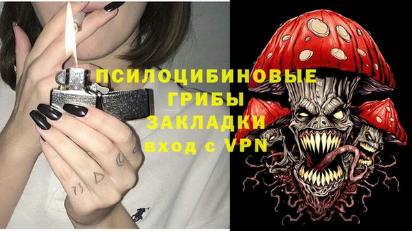 марки lsd Вяземский