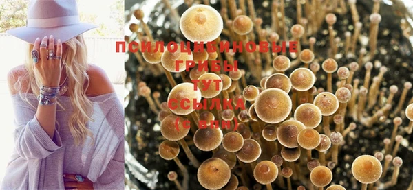 гашик Вязники