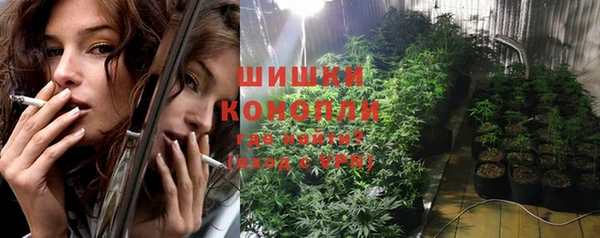 прущие грибы Волосово