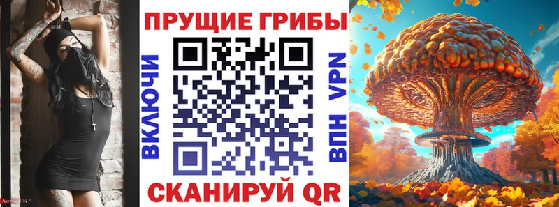 Псилоцибиновые грибы Psilocybine cubensis  Северск 