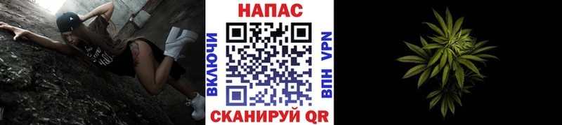 Каннабис гибрид  закладки  Северск 